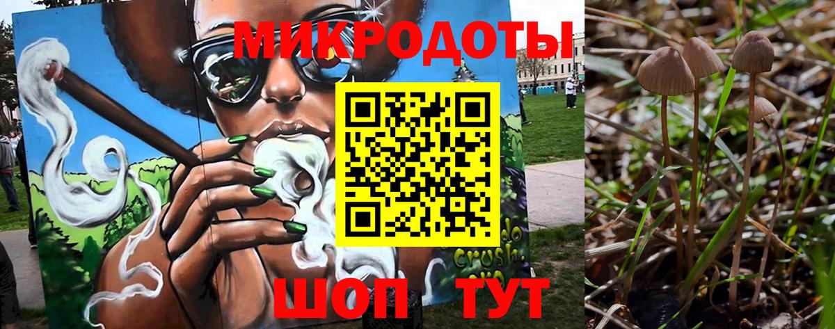 Псилоцибиновые грибы GOLDEN TEACHER Хасавюрт